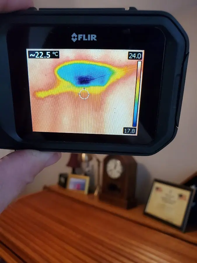 Thermal imaging inspection for water damage in Orinda